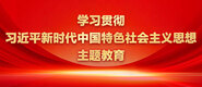 老黑逼操操操学习贯彻习近平新时代中国特色社会主义思想主题教育_fororder_ad-371X160(2)